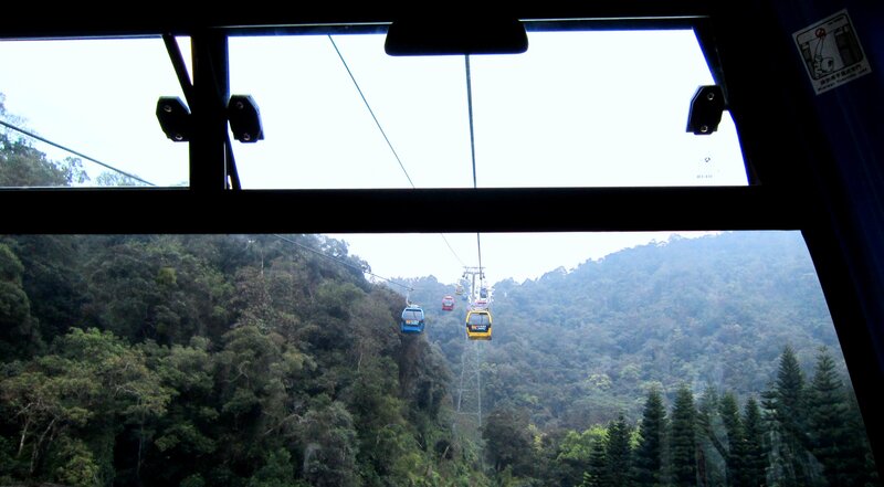Cable Cars in Forest