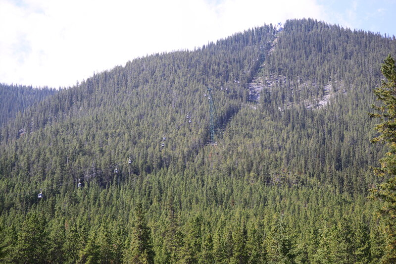Cable Cars on Forested Mountain