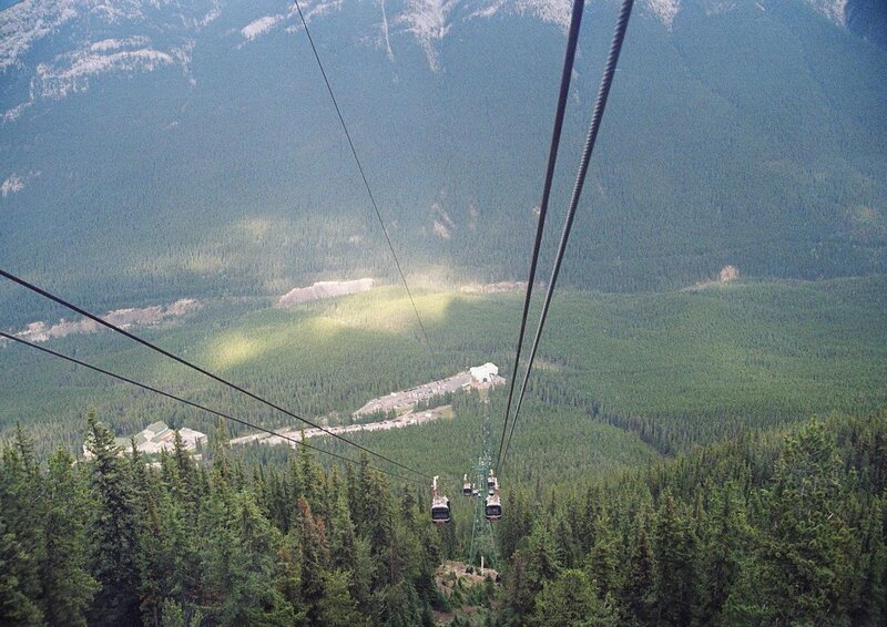 Cable Cars over Forest