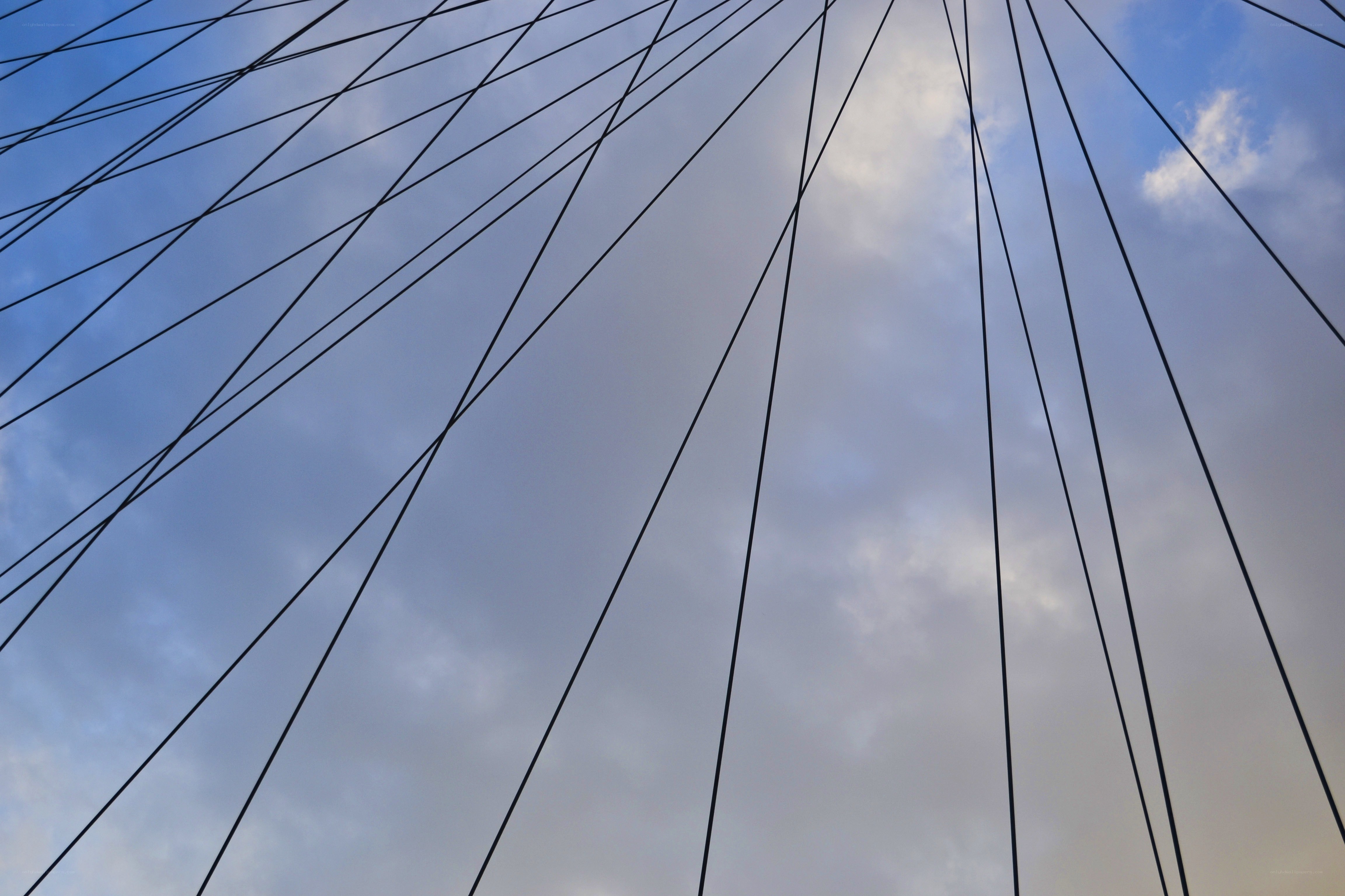 Cable-stayed bridge cables