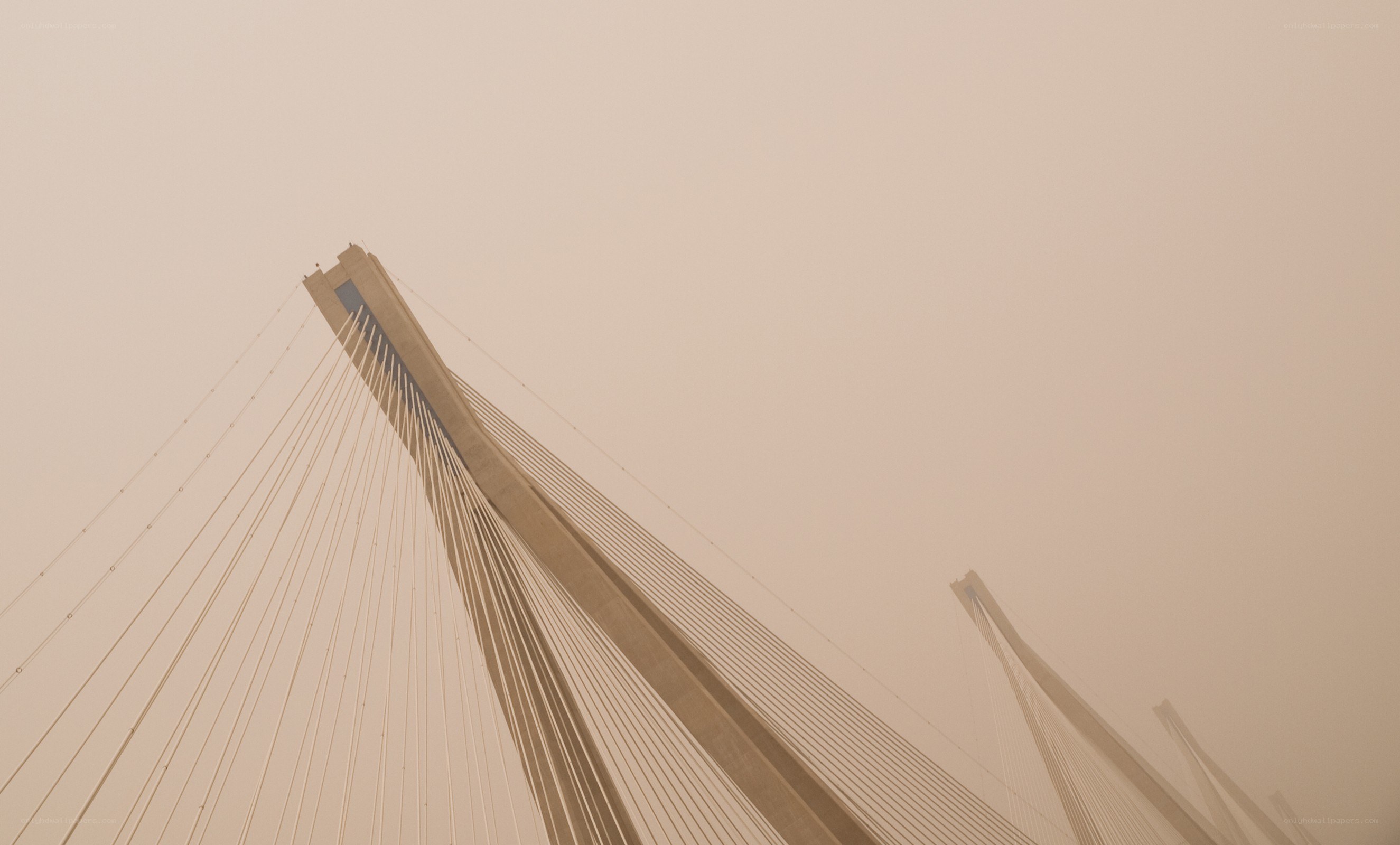 Cable-stayed bridge in fog