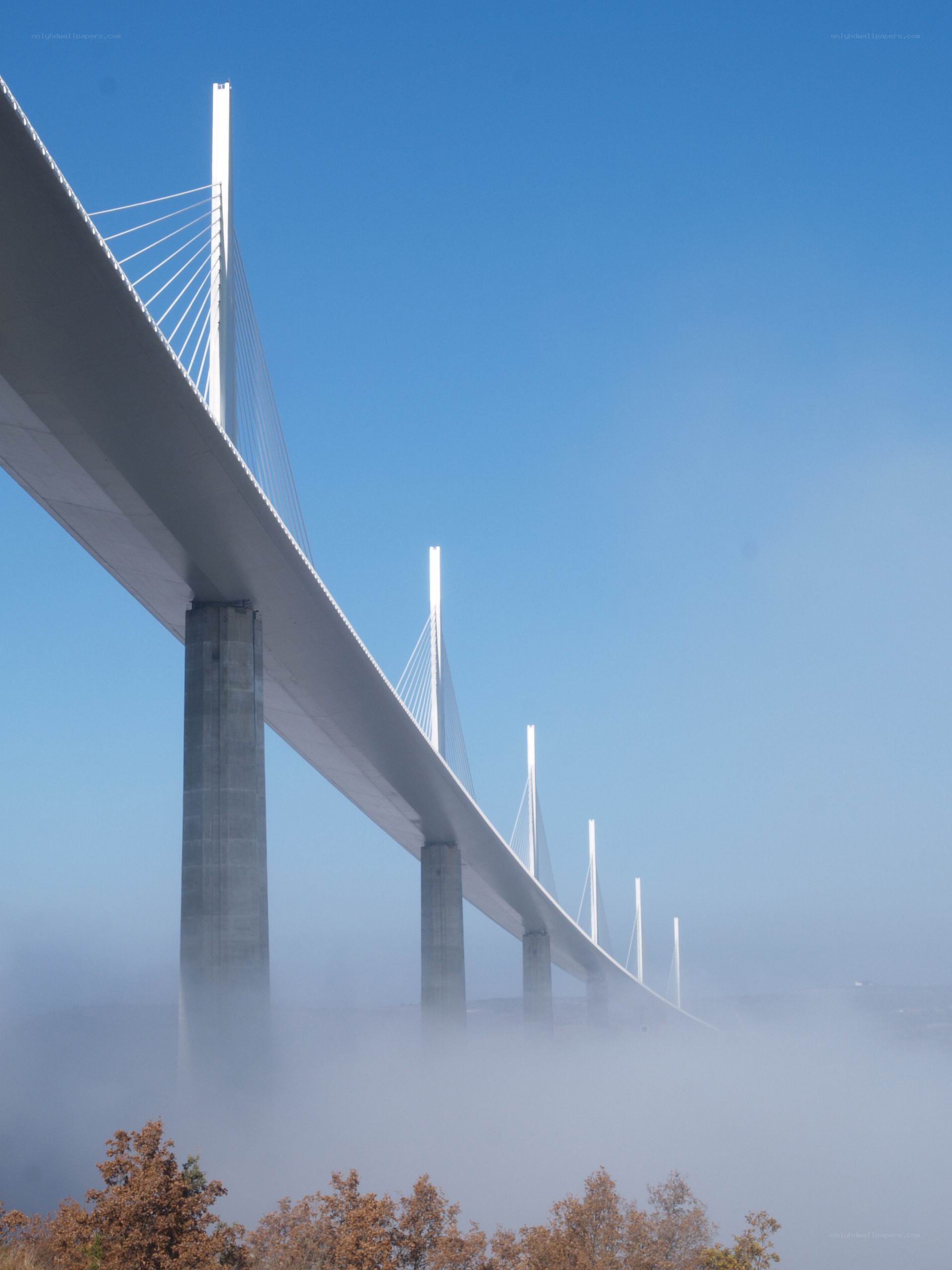 Cable-stayed bridge in fog