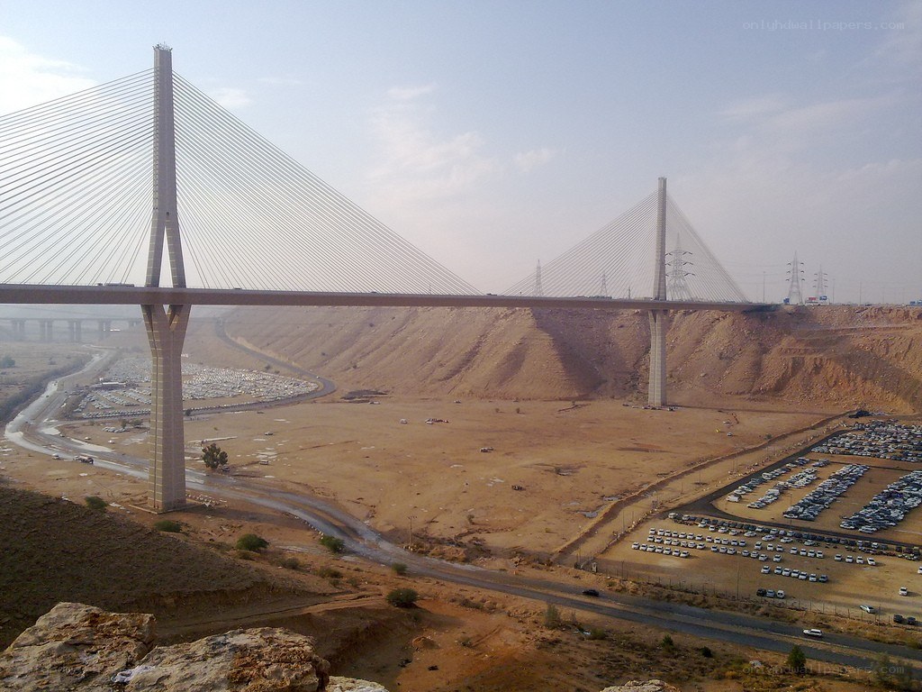 Cable-stayed bridge over desert valley