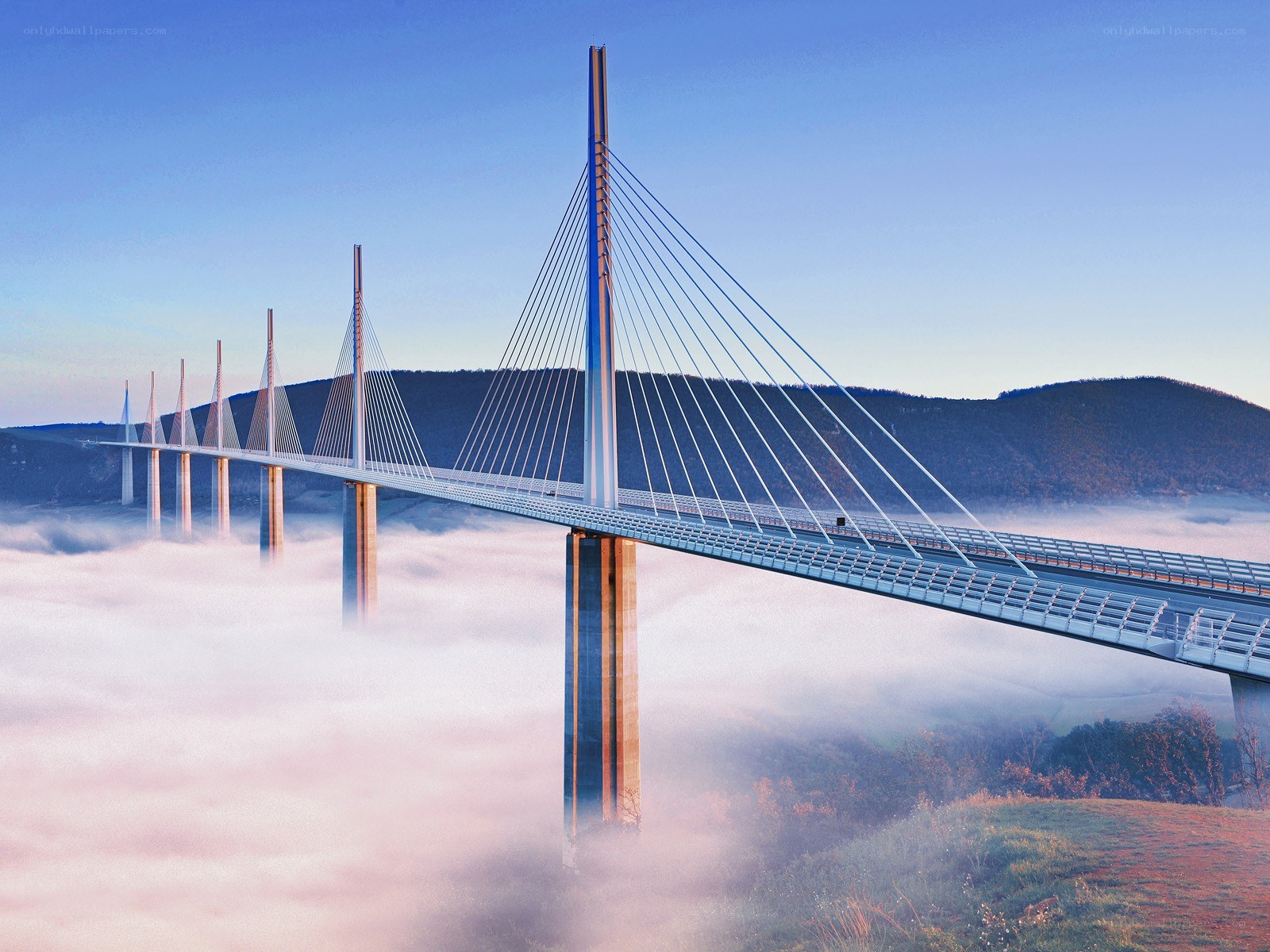Cable-stayed bridge over fog