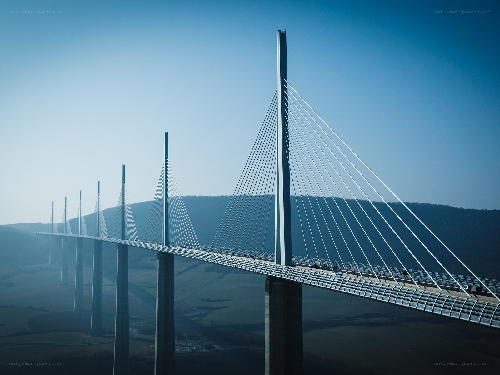 Cable-stayed bridge over valley