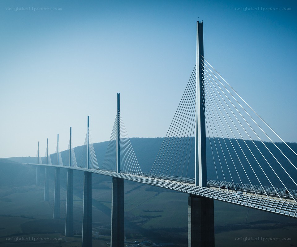 Cable-stayed bridge over valley