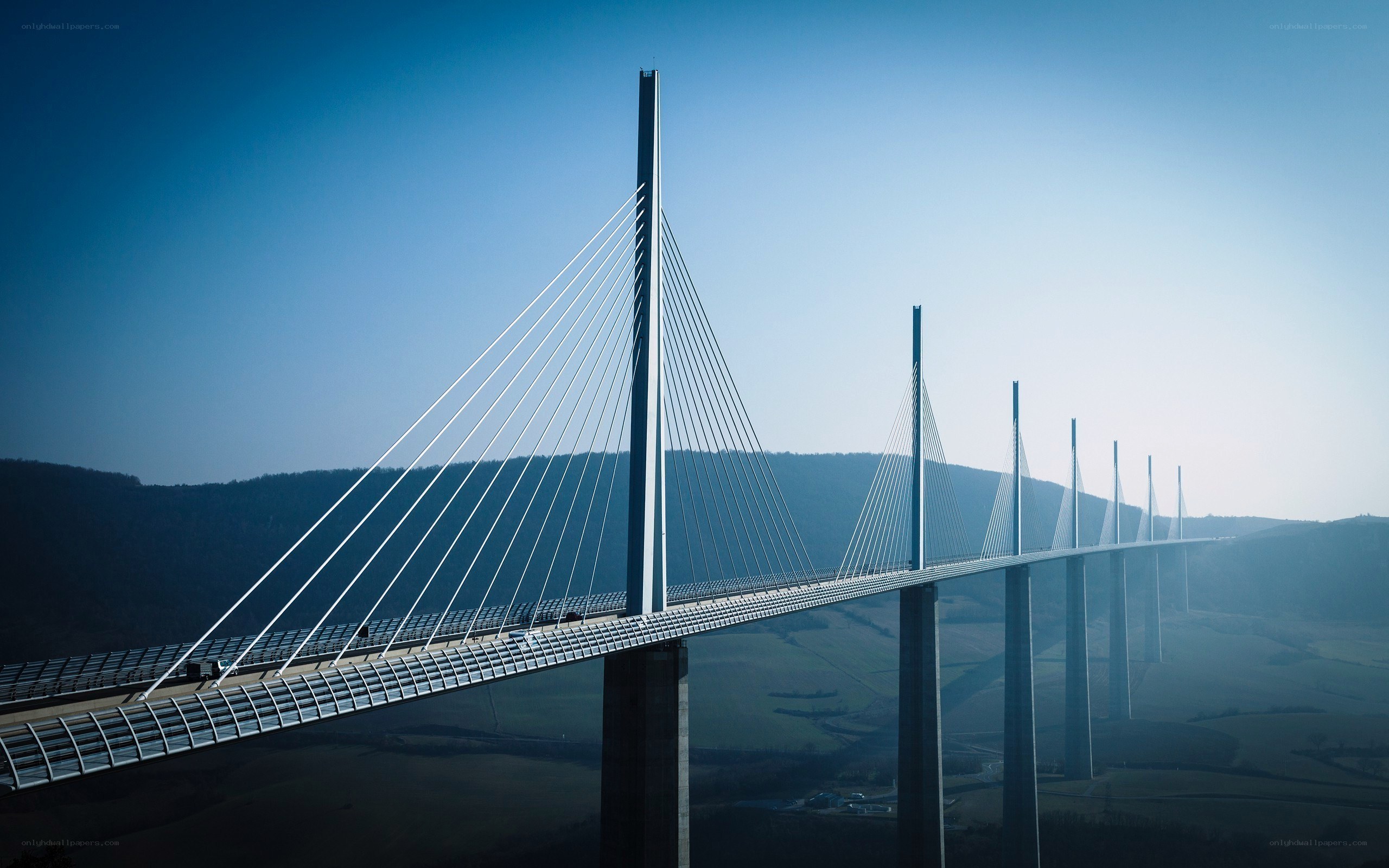 Cable-stayed bridge over valley