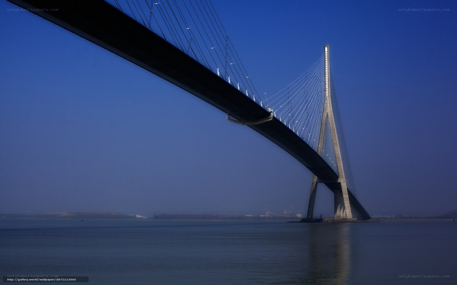 Cable-stayed bridge over water