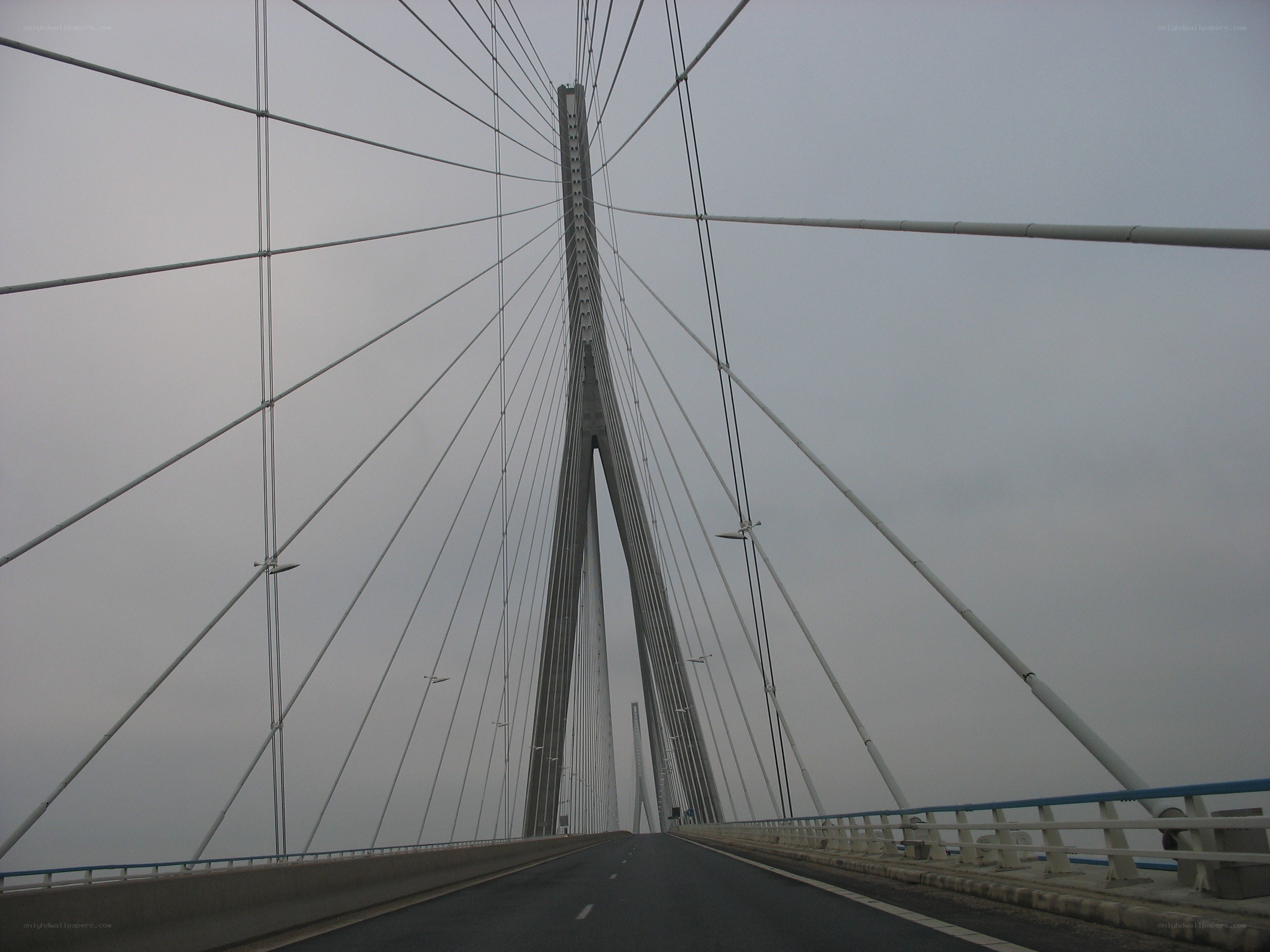 Cable-stayed bridge view