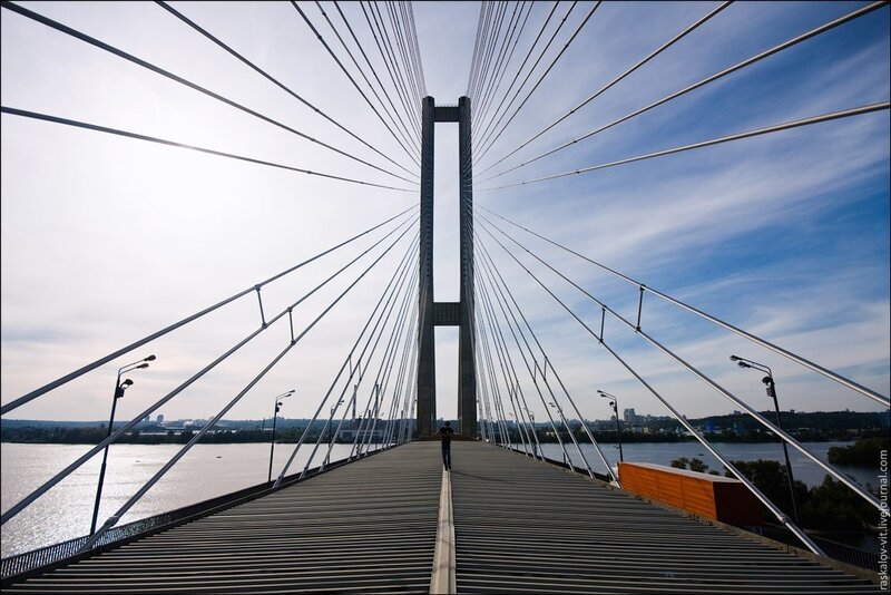 Cable-stayed bridge view