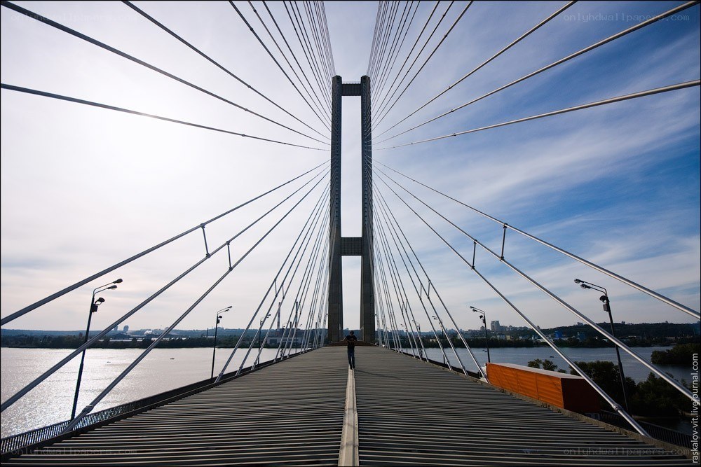Cable-stayed bridge view