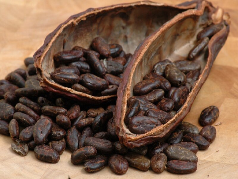 Cacao Pods and Beans