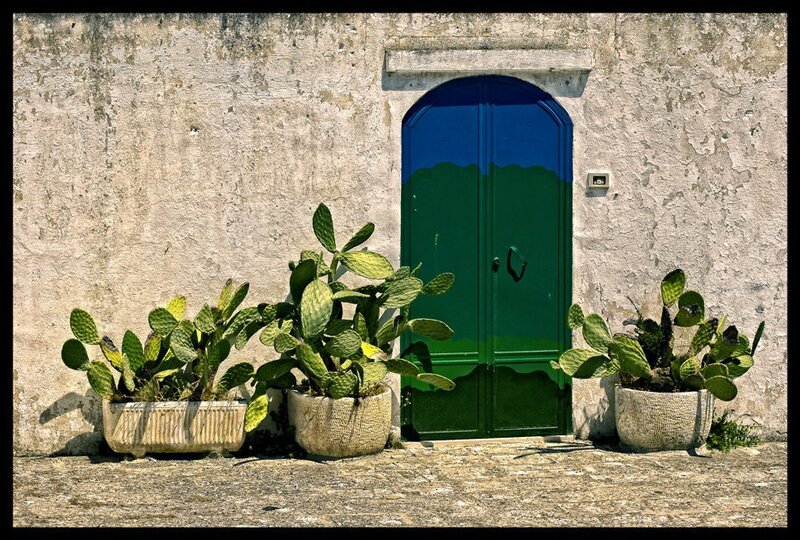 Cacti by Blue-green Door