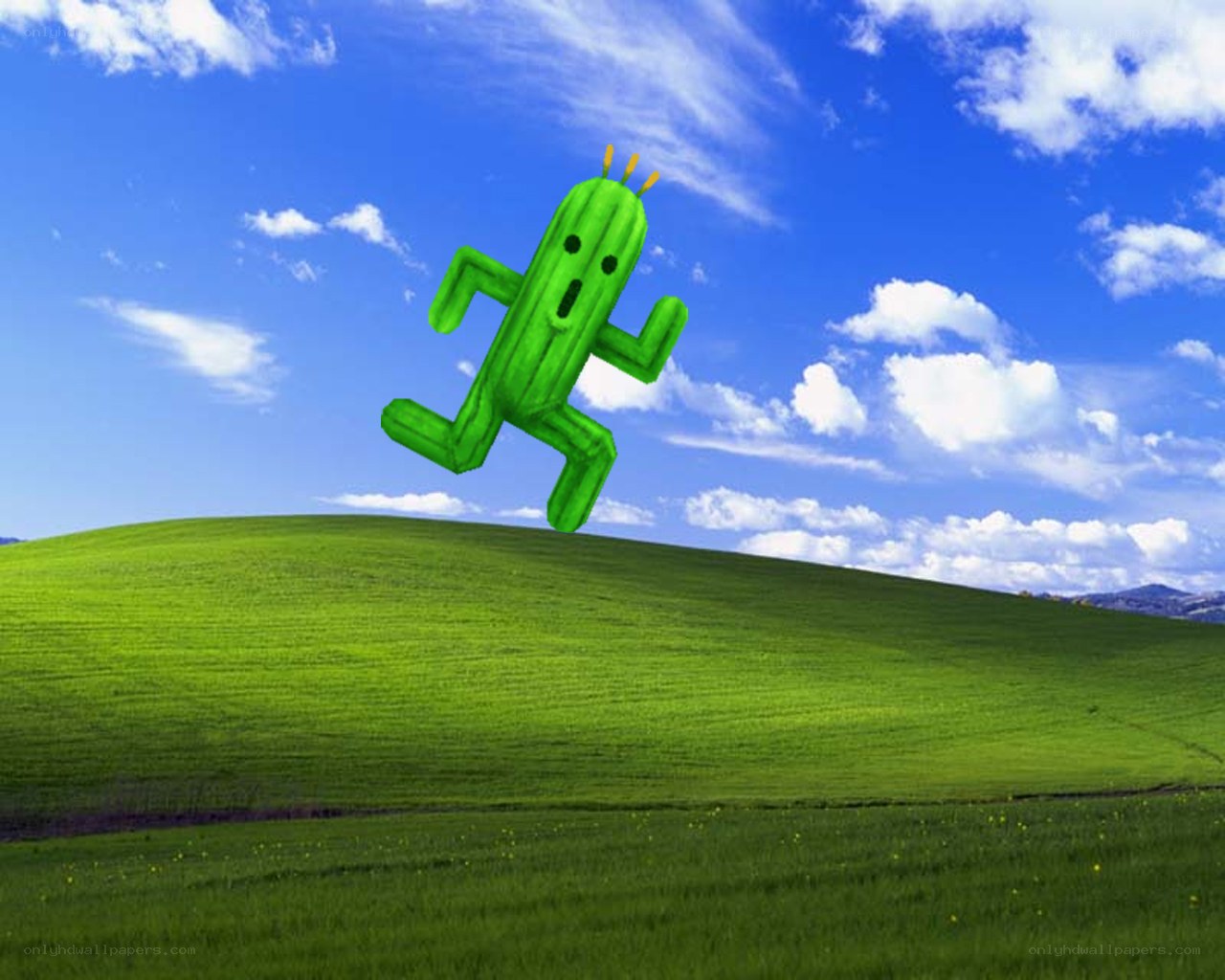 cactus character running