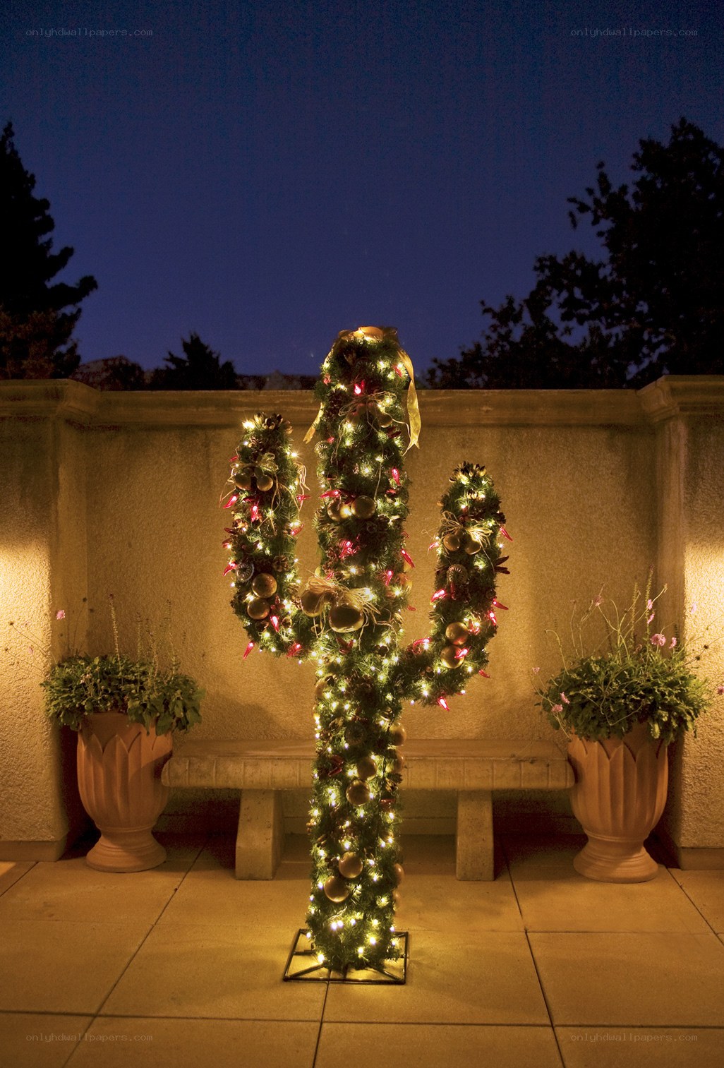 Cactus Christmas decoration
