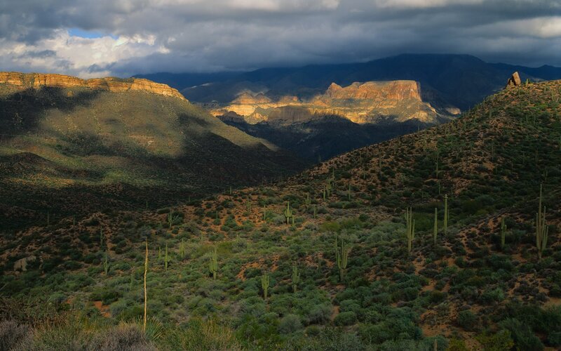 Cactus-covered Desert Canyon