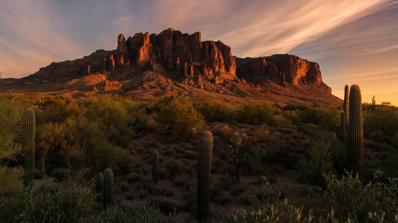 Cactus-covered Desert Mountain