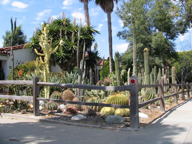 Cactus Garden with Fence