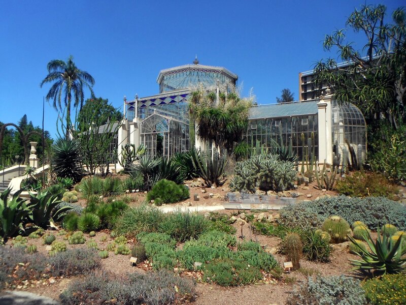 Cactus Garden with Greenhouse