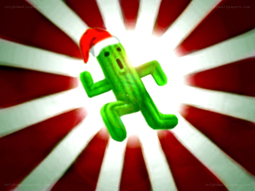cactus in a Santa hat