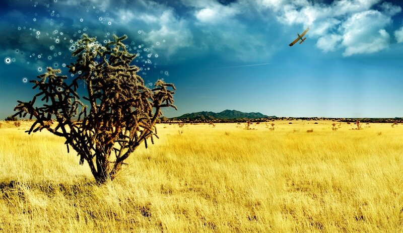 Cactus in Desert Field — Yellow