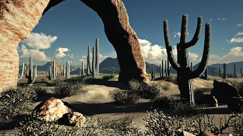 Cactus in Desert Landscape — Brown