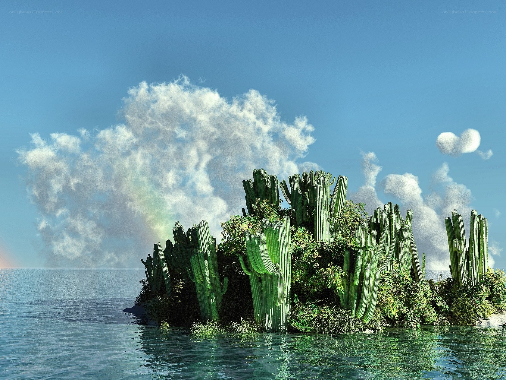 Cactus island in ocean