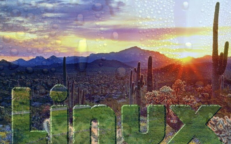 Cactus Landscape at Sunset — Green