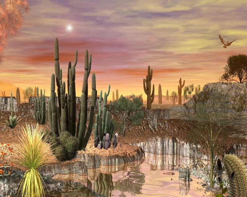 Cactus Landscape at Sunset