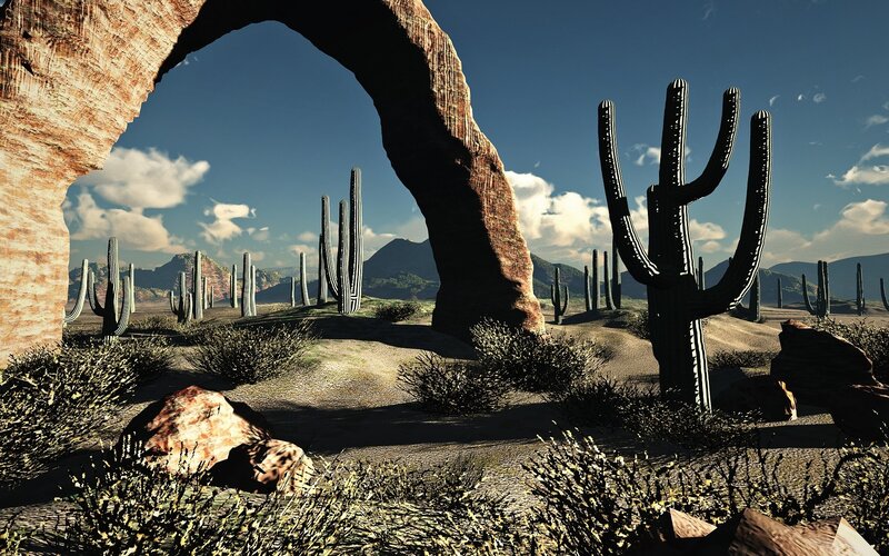 Cactus Landscape with Arch