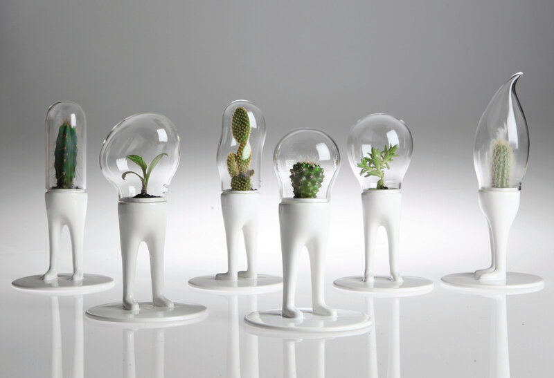 cactus light bulb planters