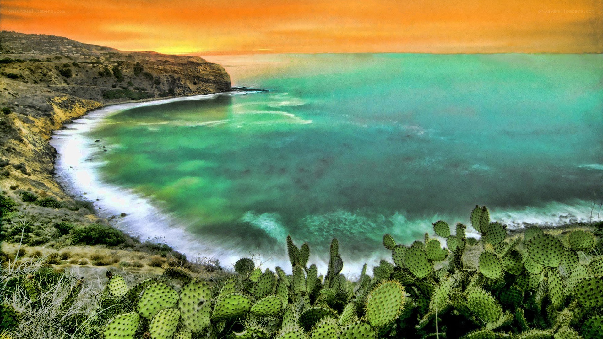 Cactus-lined coastal cove at sunset