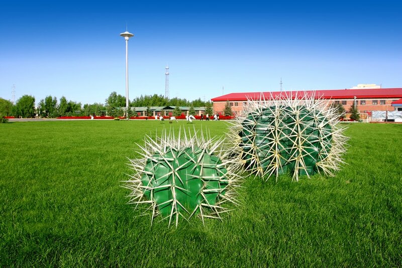 Cactus Sculptures on Lawn