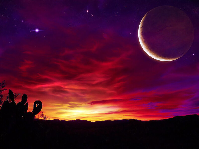 Cactus Silhouette on Alien Planet