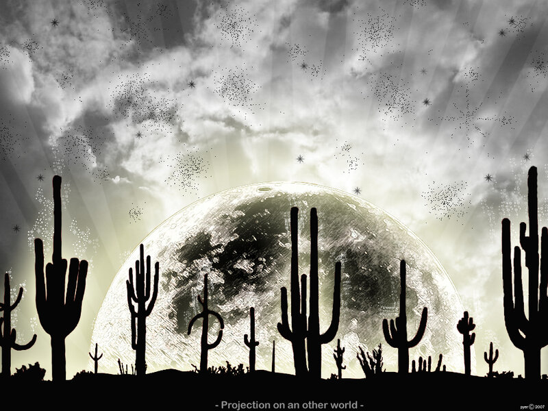 Cactus silhouettes under a large moon