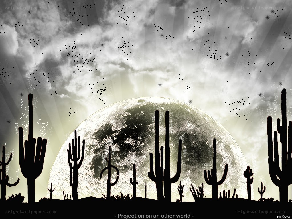 Cactus silhouettes under a large moon
