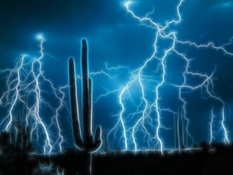 Cactus under lightning storm