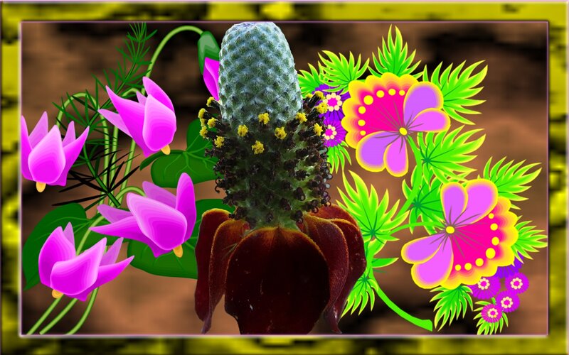 Cactus with Purple Flowers