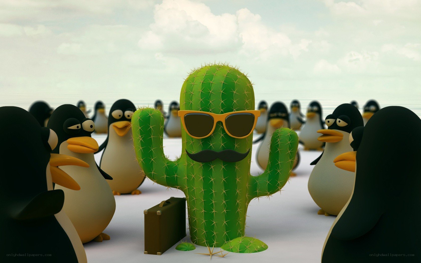 cactus with sunglasses and mustache