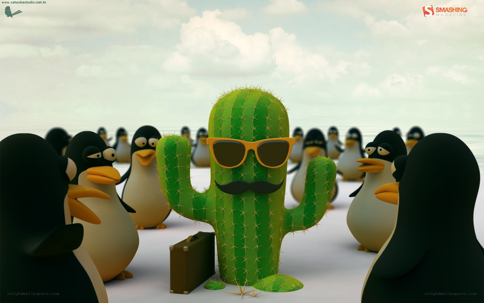 cactus with sunglasses and penguins
