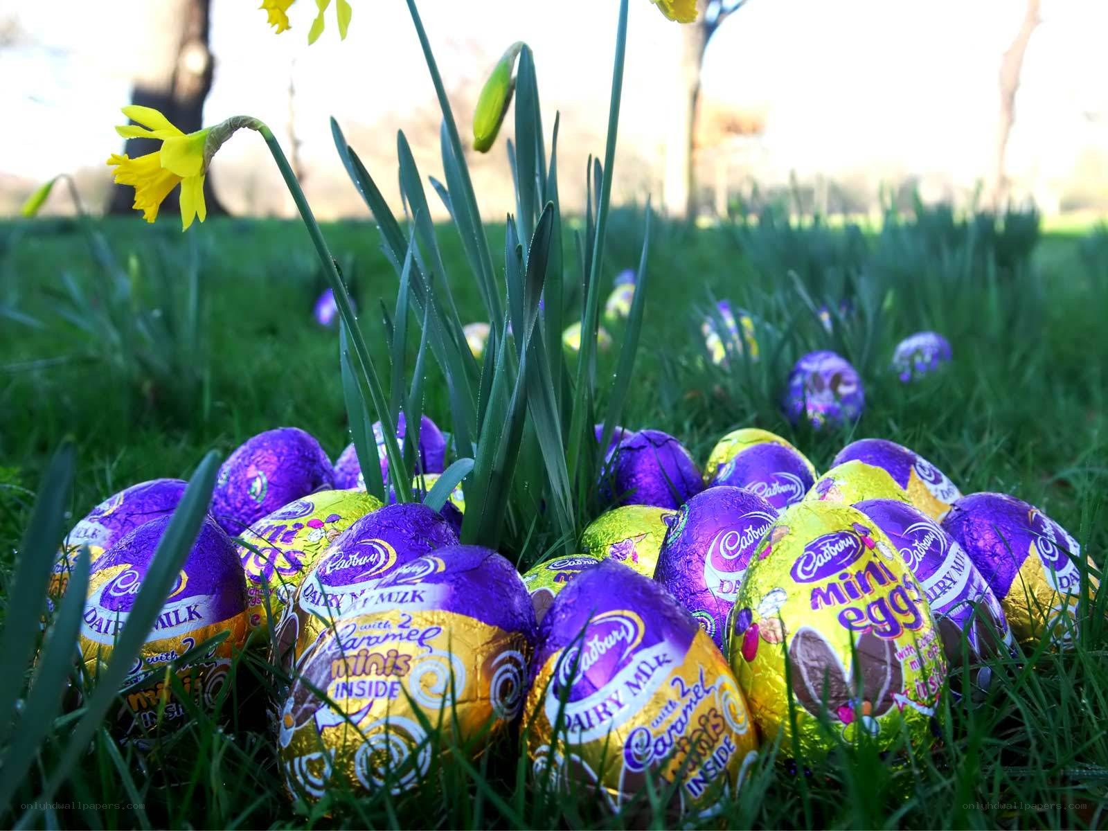 Cadbury eggs in grass