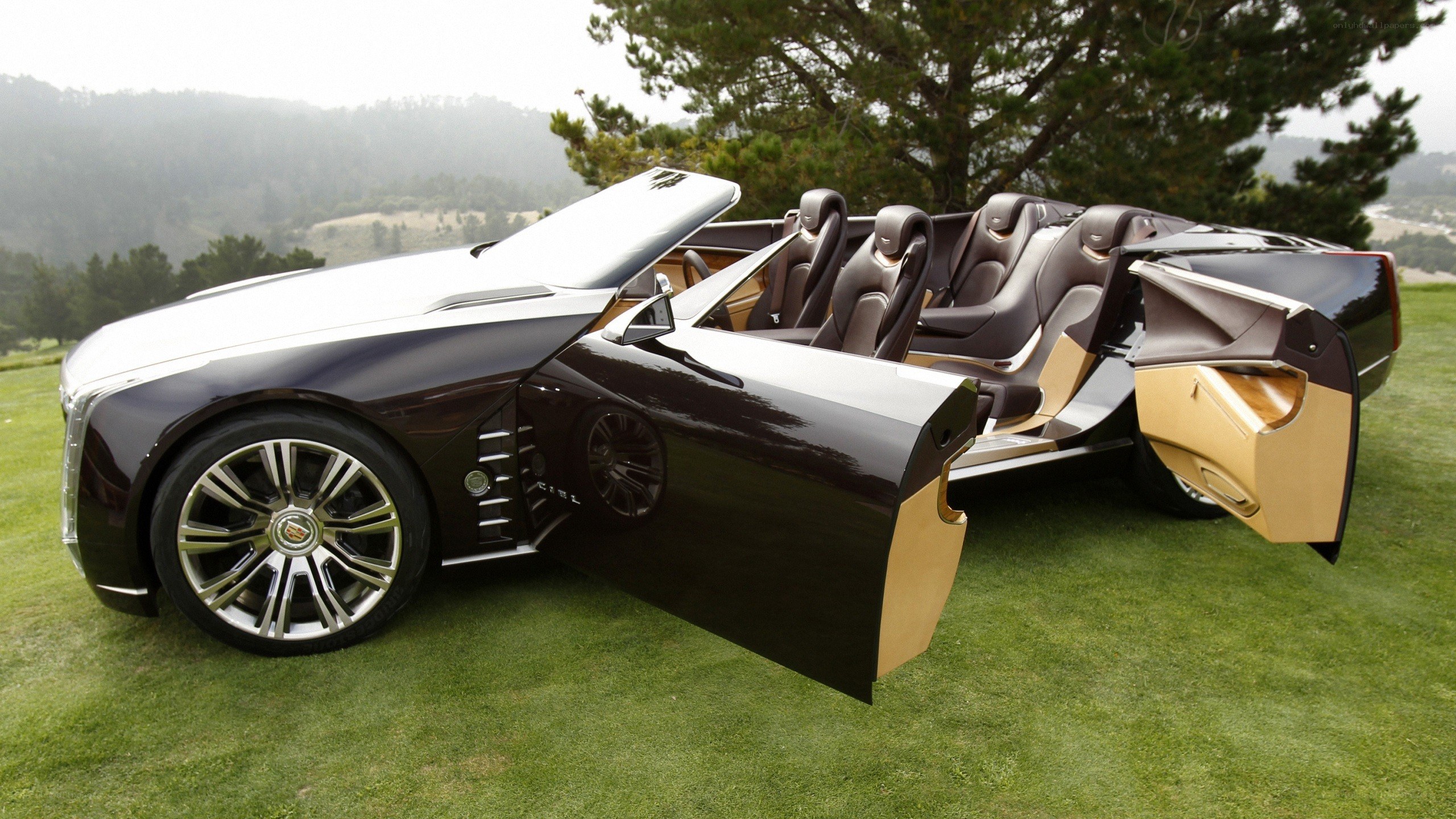 Cadillac concept car on grass