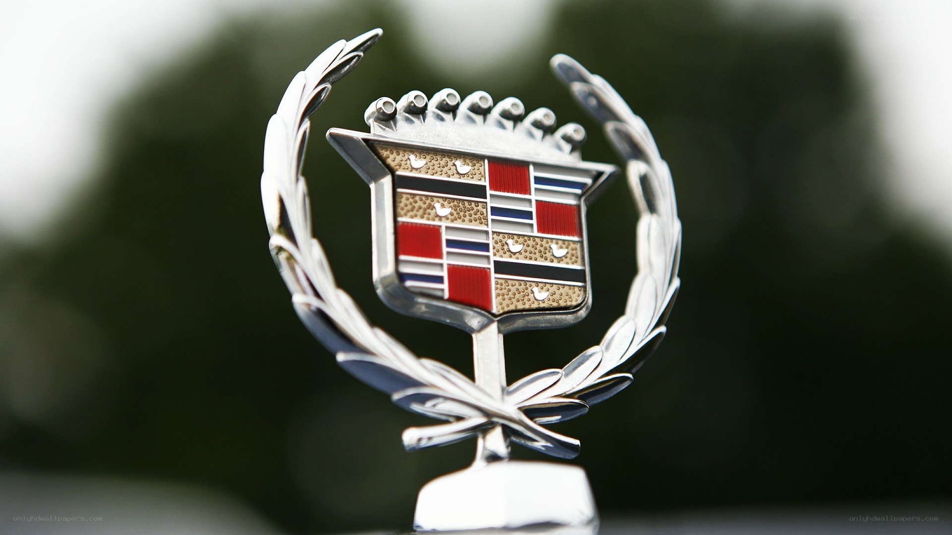 Cadillac emblem on car