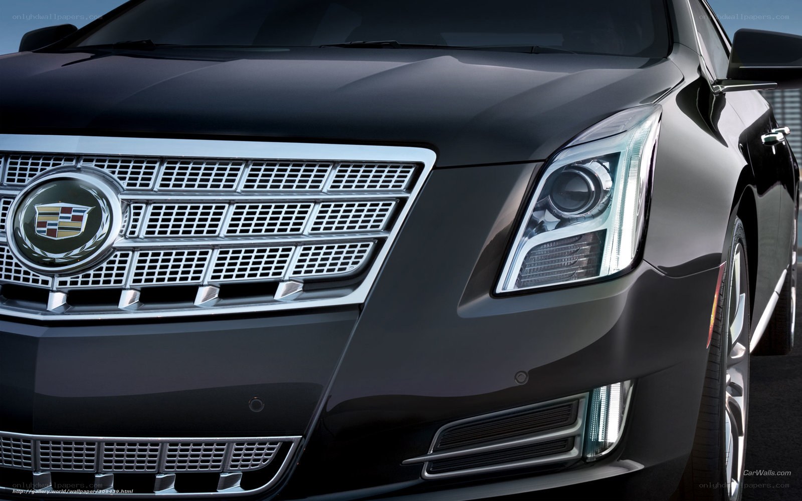 Cadillac grille and headlight