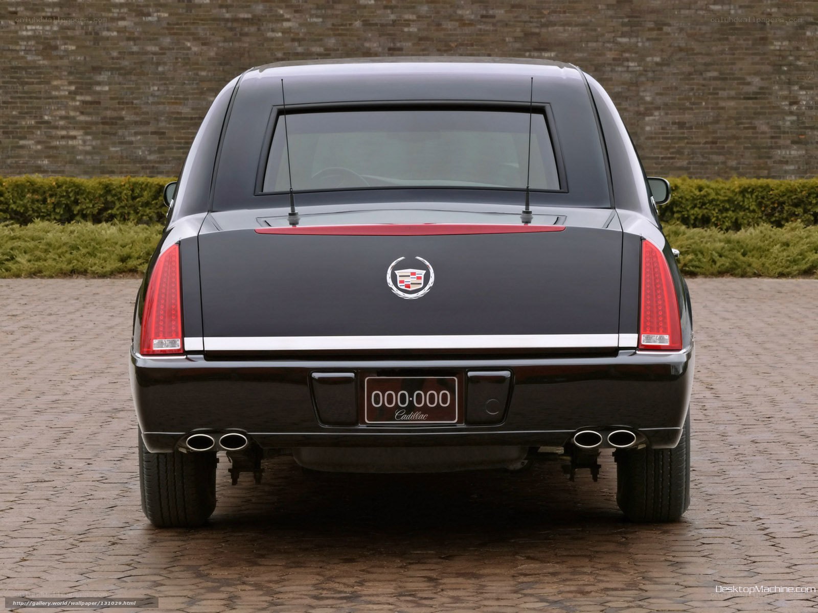 Cadillac hearse rear view