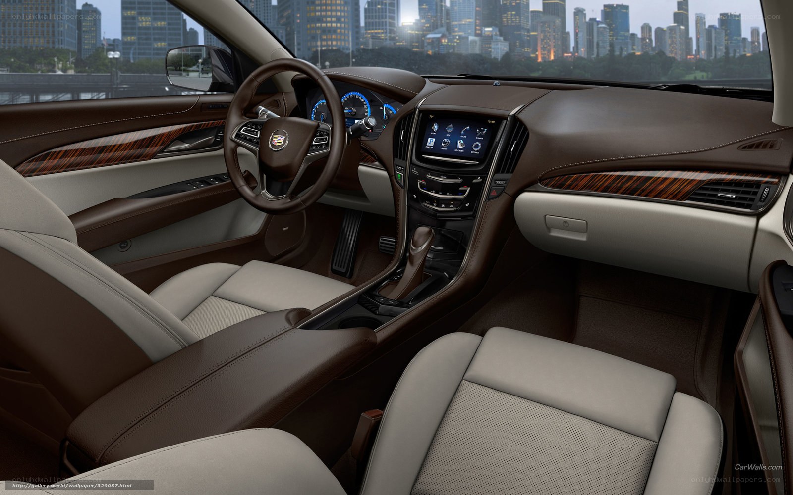 Cadillac interior with city view