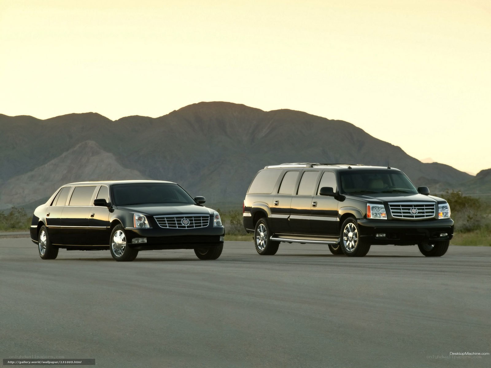 Cadillac limousine and SUV