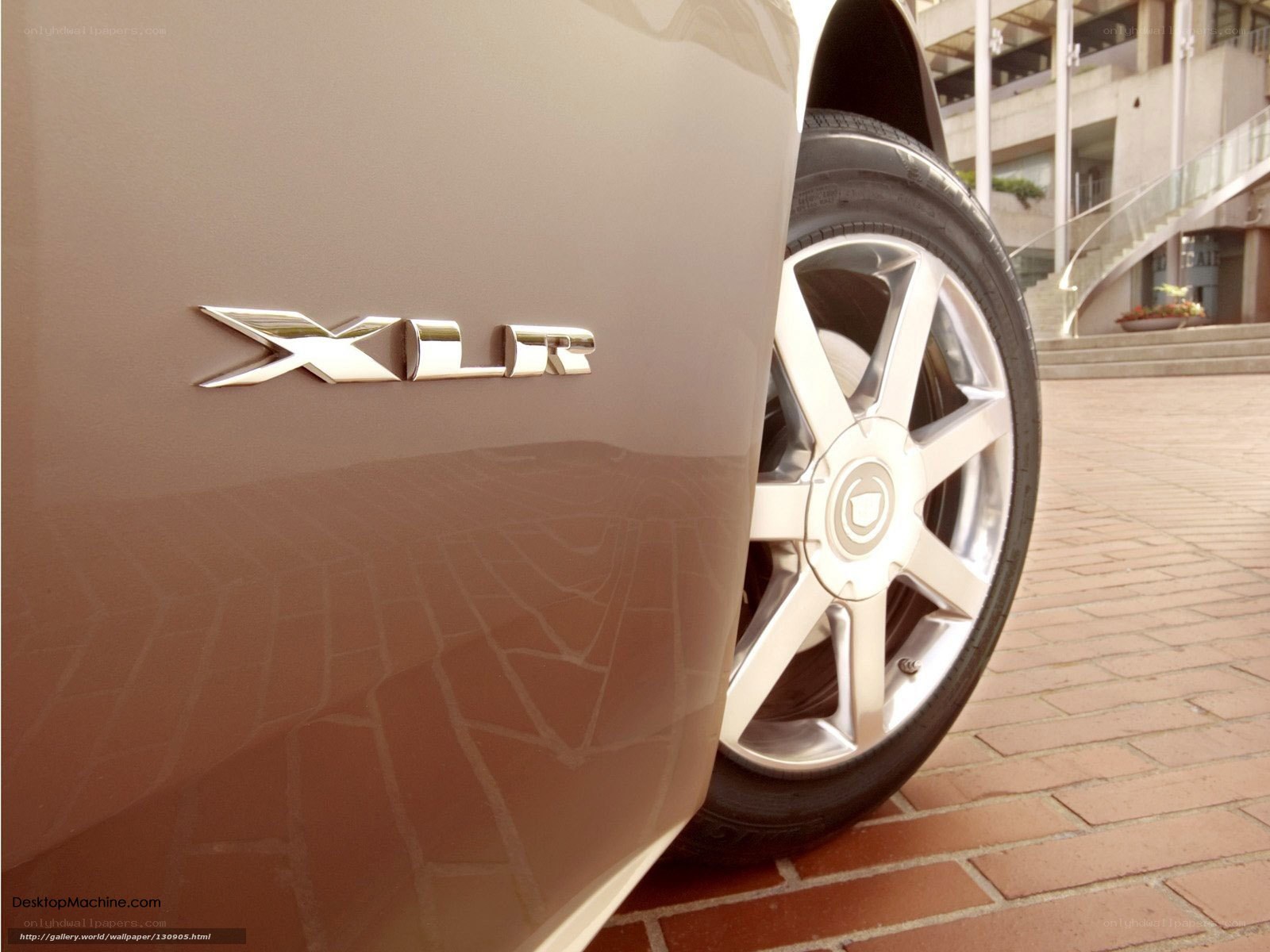 Cadillac XLR rear badge