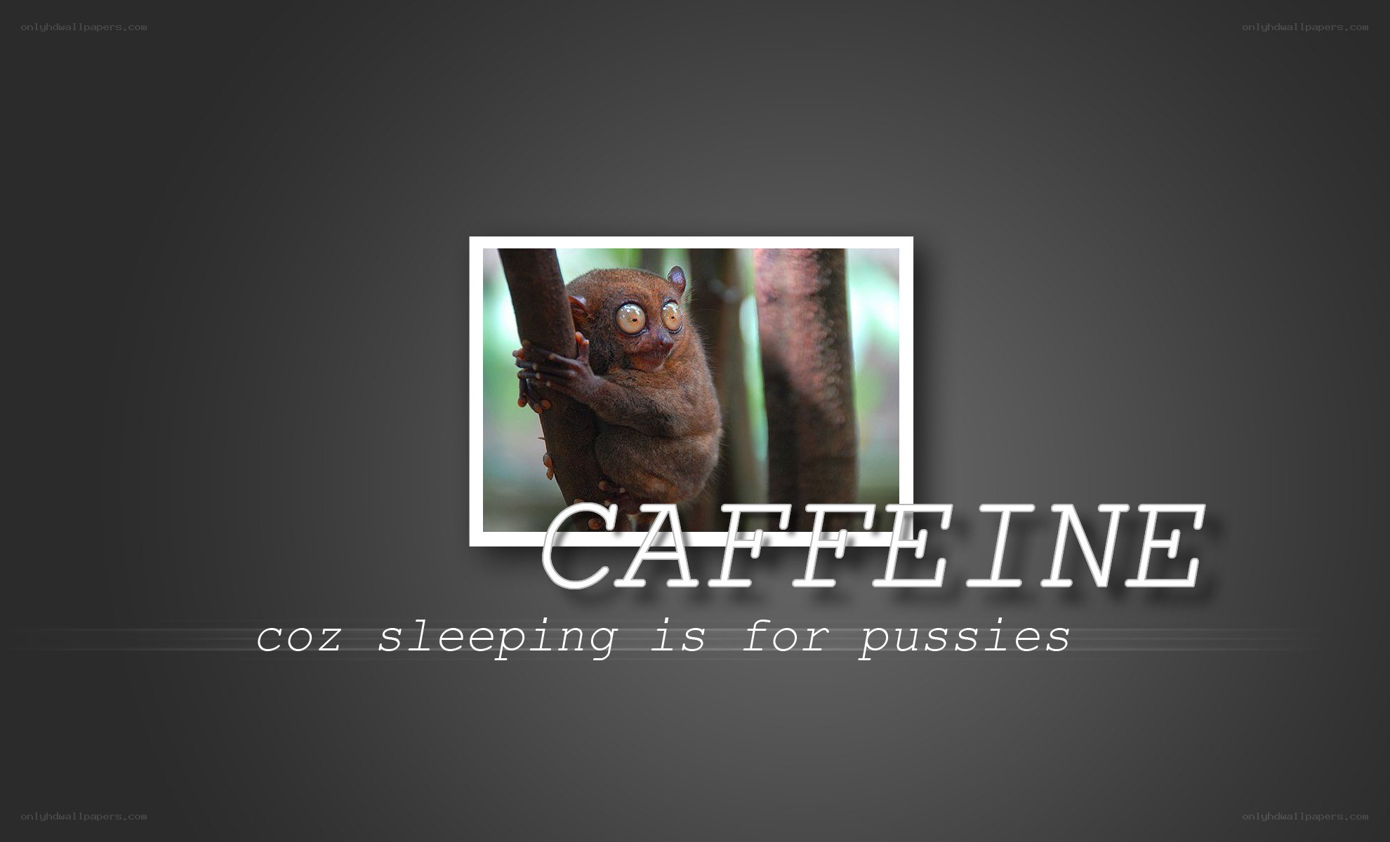 Caffeine for the awake