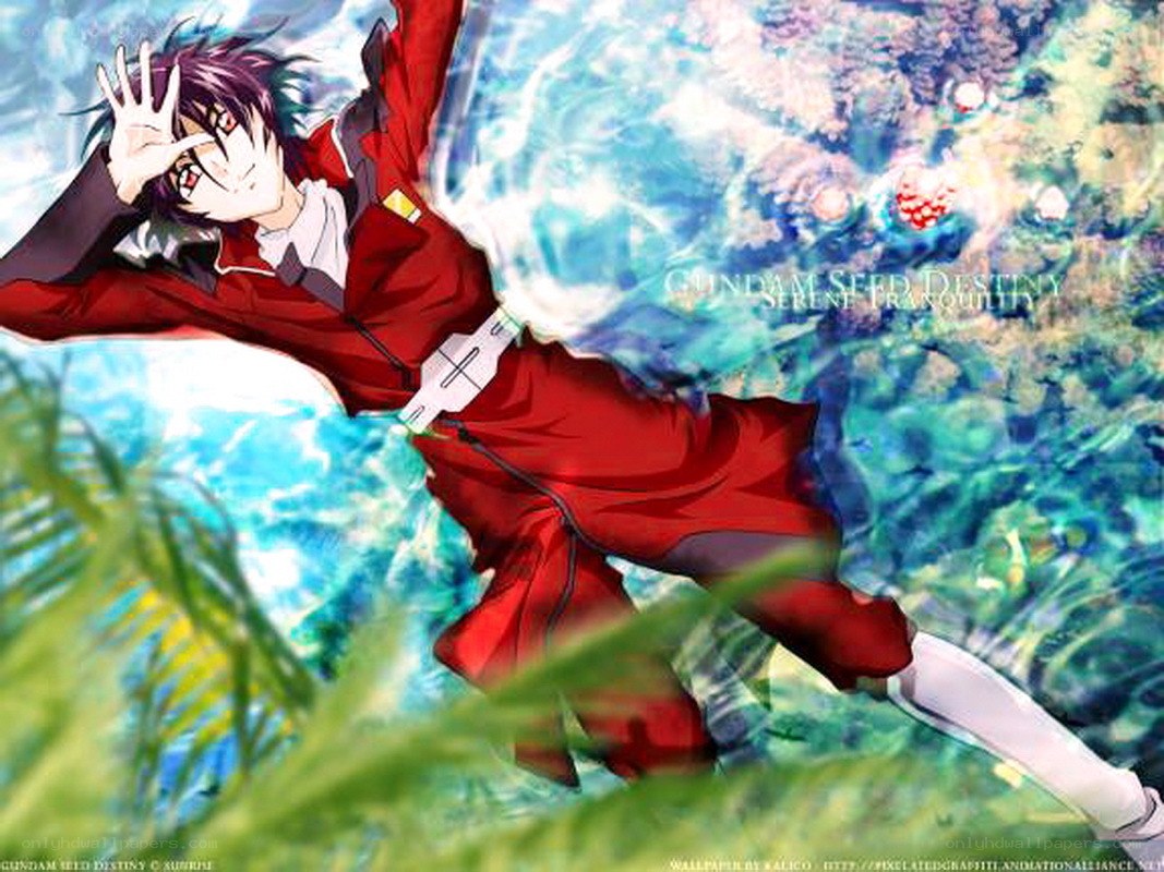 Cagalli Yula Athha in red